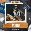 Jaybo 2019