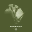 Darling Break Free (feat. Michael Kaneko)