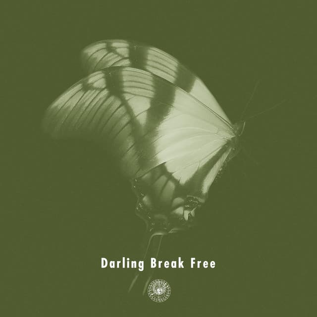 Darling Break Free (feat. Michael Kaneko)