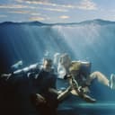 Đừng Yêu Người Nổi Tiếng