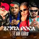 SENTA POCA (POSSO ATÉ NÃO TE DAR FLORES)