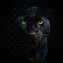 Stilen Lagt (feat. Benny Jamz, Gilli & MellemFingaMuzik)