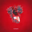 Jie Viską Žino Apie Mus