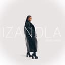 Izandla (feat. PYY Log Drum King)