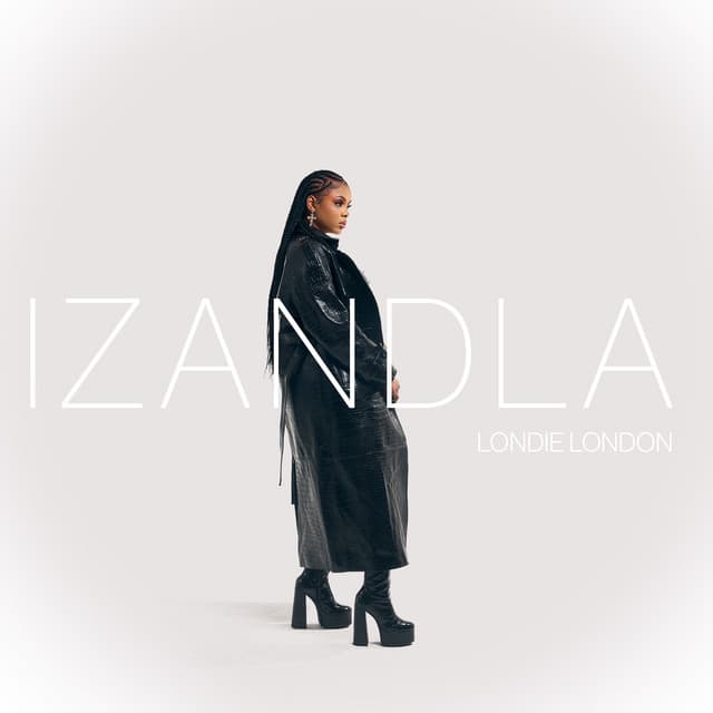 Izandla (feat. PYY Log Drum King)
