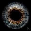 Time（feat. 黃奇斌）