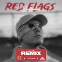 Red Flags (feat. Alex Skrindo & Langhoff) - REMIX