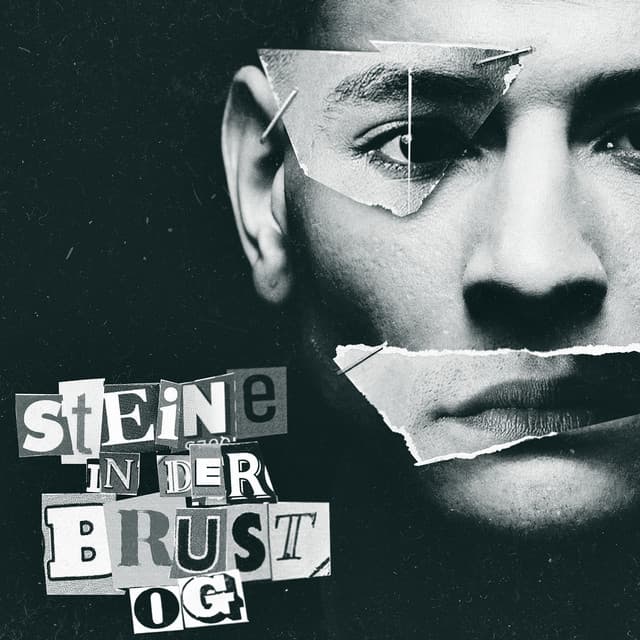 Steine in der Brust (feat. Rafik)