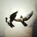 GEÇMİŞİMDEN KAÇTIM