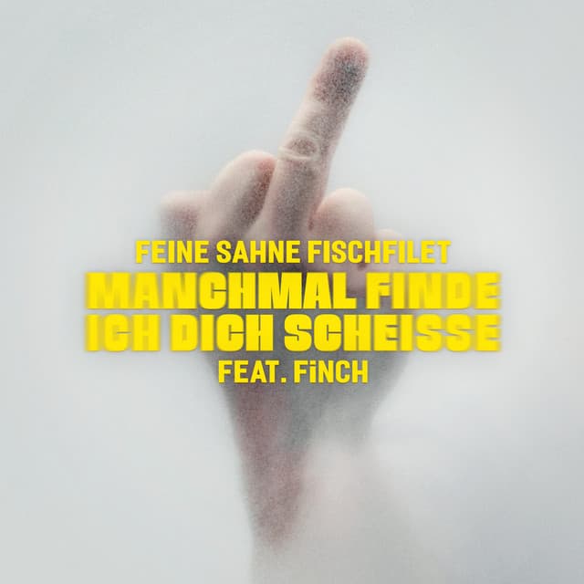 Manchmal finde ich dich scheisse (feat. FiNCH)