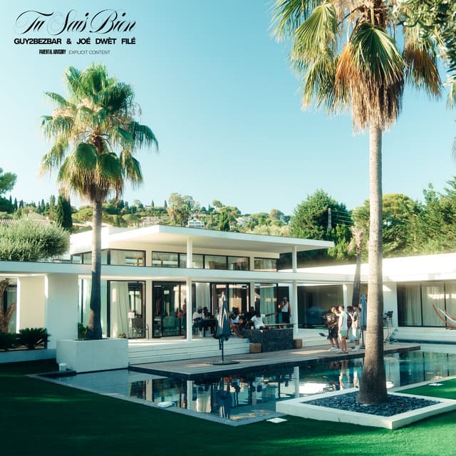 Tu sais bien (feat. Joé Dwèt Filé)