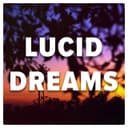 Lucid Dreams