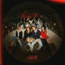 Gnien på Katta (Ikke for Stag)