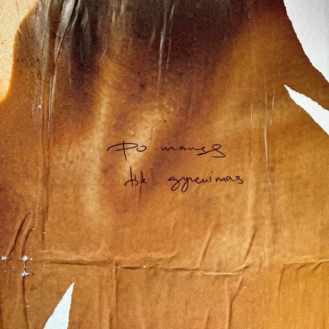 Po manęs tik gyvenimas