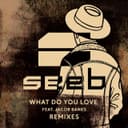 What Do You Love - Broiler Remix