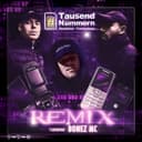 Tausend Nummern Remix