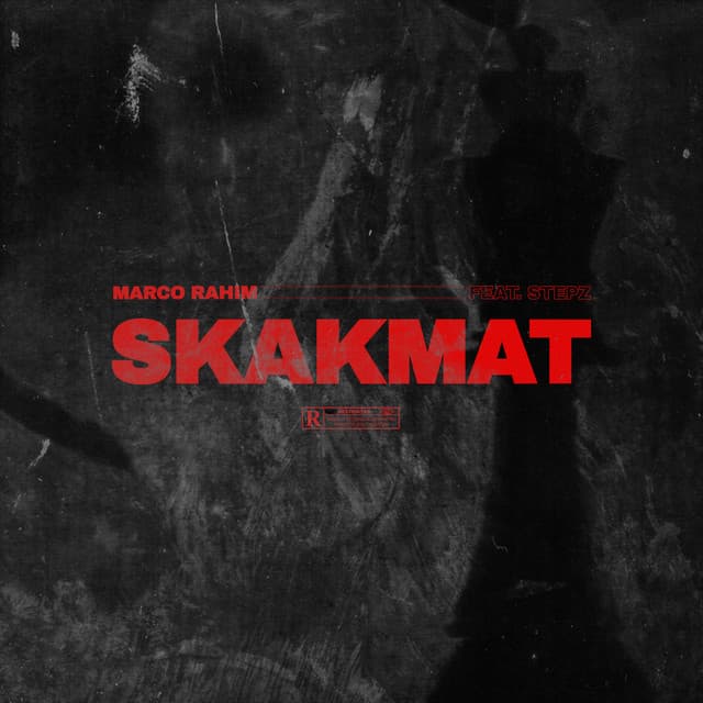 Skakmat (feat. Stepz)
