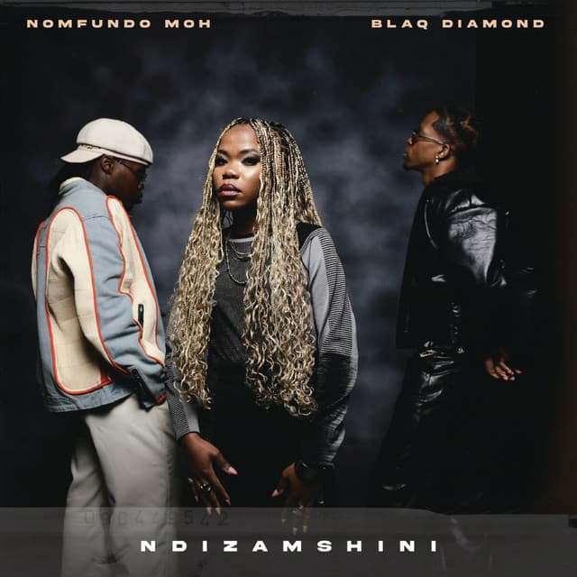 Ndizamshini (feat. Blaq Diamond)