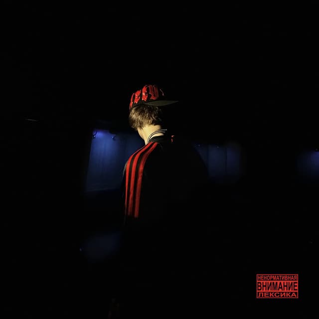 Слёзы Аиши (First Day Out)