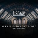 Always Gonna Say Sorry