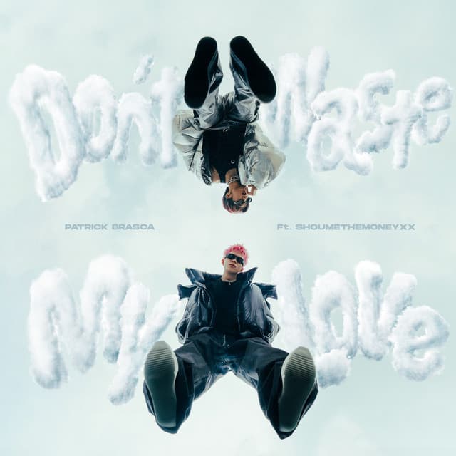 Don't Waste My Love (feat. SHOU)