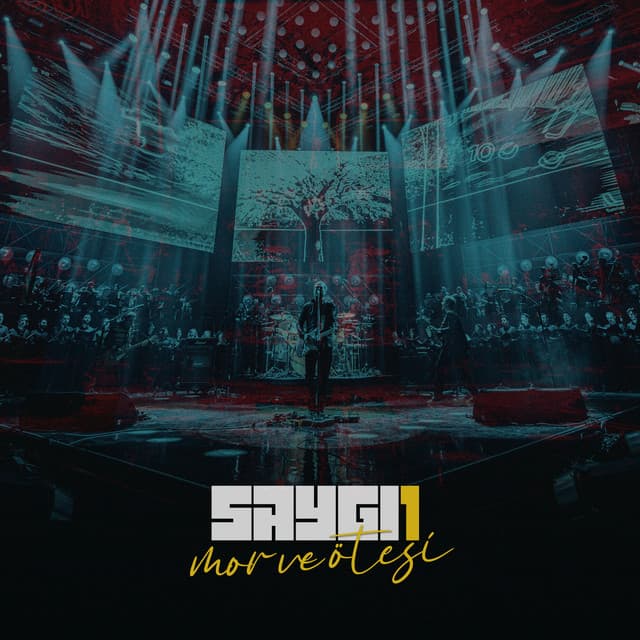 Bir Derdim Var - SAYGI1, Remix